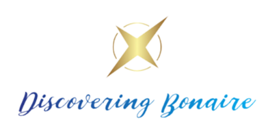 Logo Discovering Bonaire